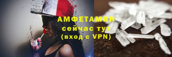 ГАЛЛЮЦИНОГЕННЫЕ ГРИБЫ Алзамай