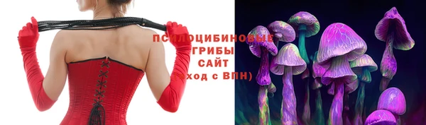 шишки Алексин