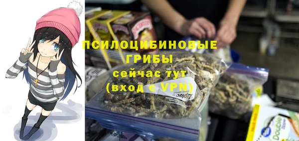 ГАЛЛЮЦИНОГЕННЫЕ ГРИБЫ Алзамай